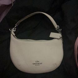  Couch Mini Bag 60$