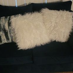 Couch and Love Seat