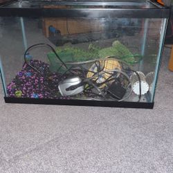 10 Gallon Fish Tank