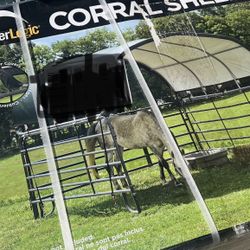 Corral Shelter
