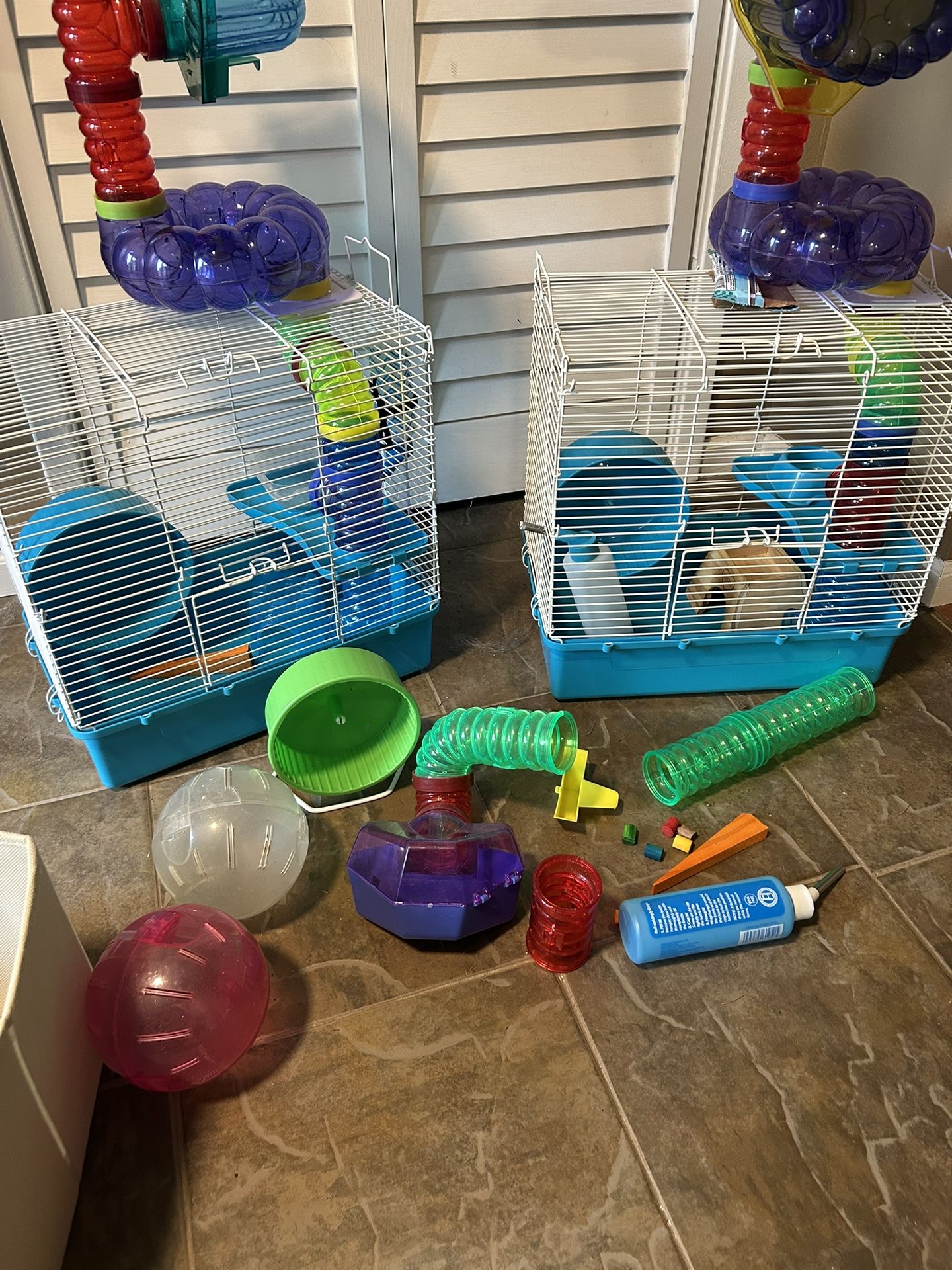 Dwarf Hamster Cages