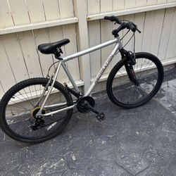 Recreation Silver Bike 