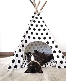 Pet Teepee