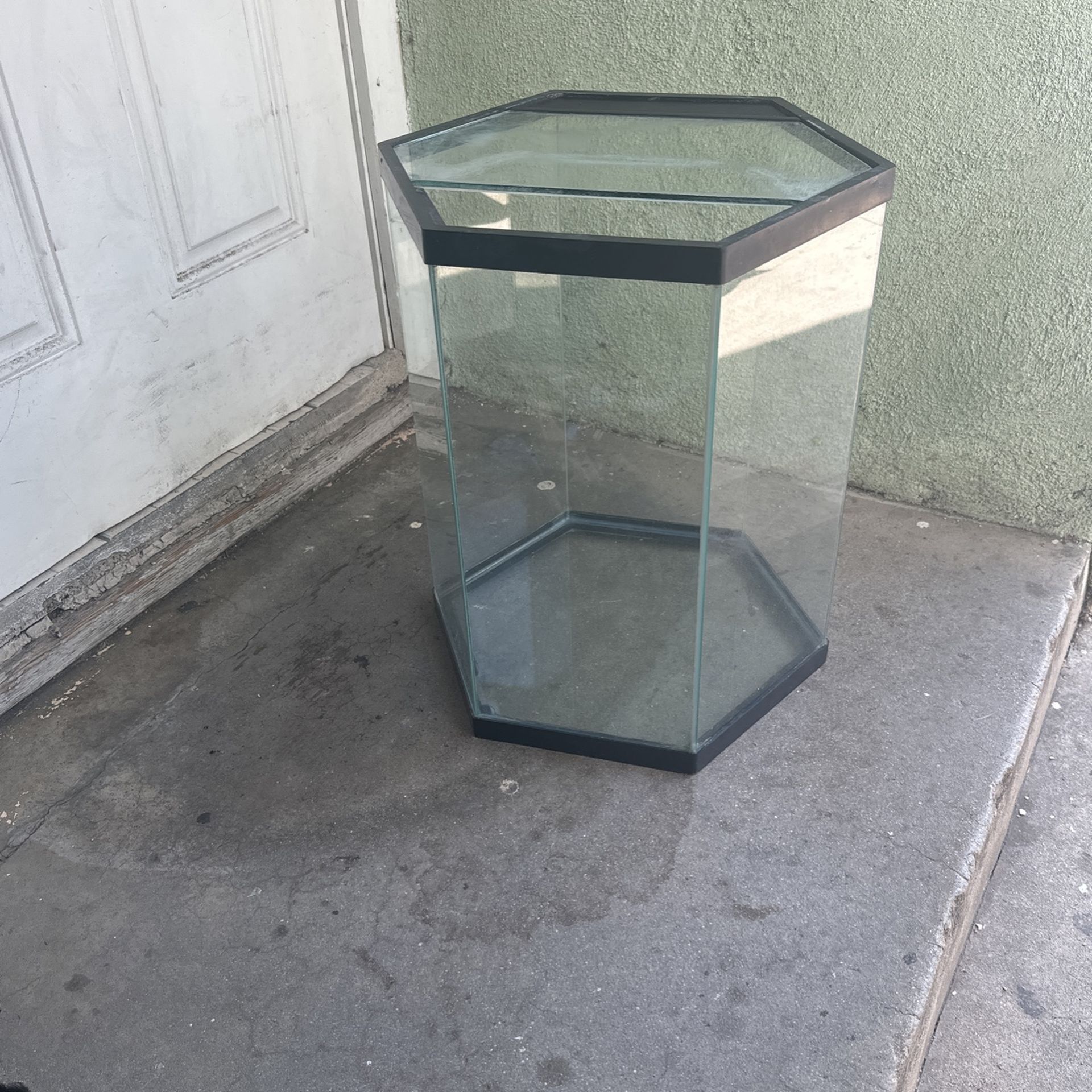 10 Gallon Hexagon Fish Tank