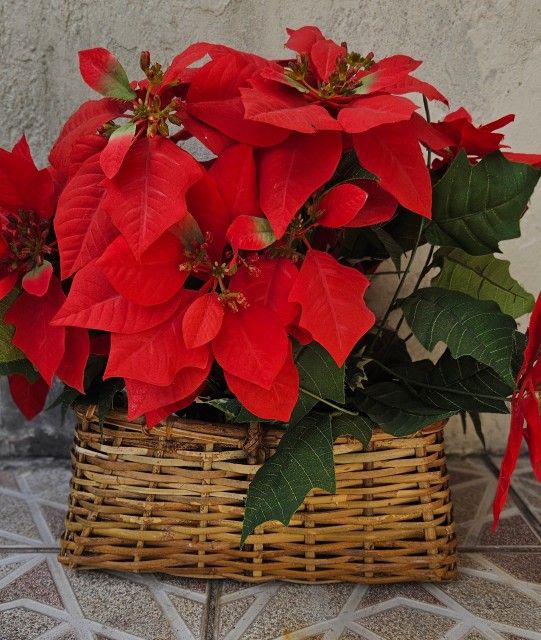 Artificial Fake Christmas Hanging Poinsettia Flowers Plants Basket 14"x20"