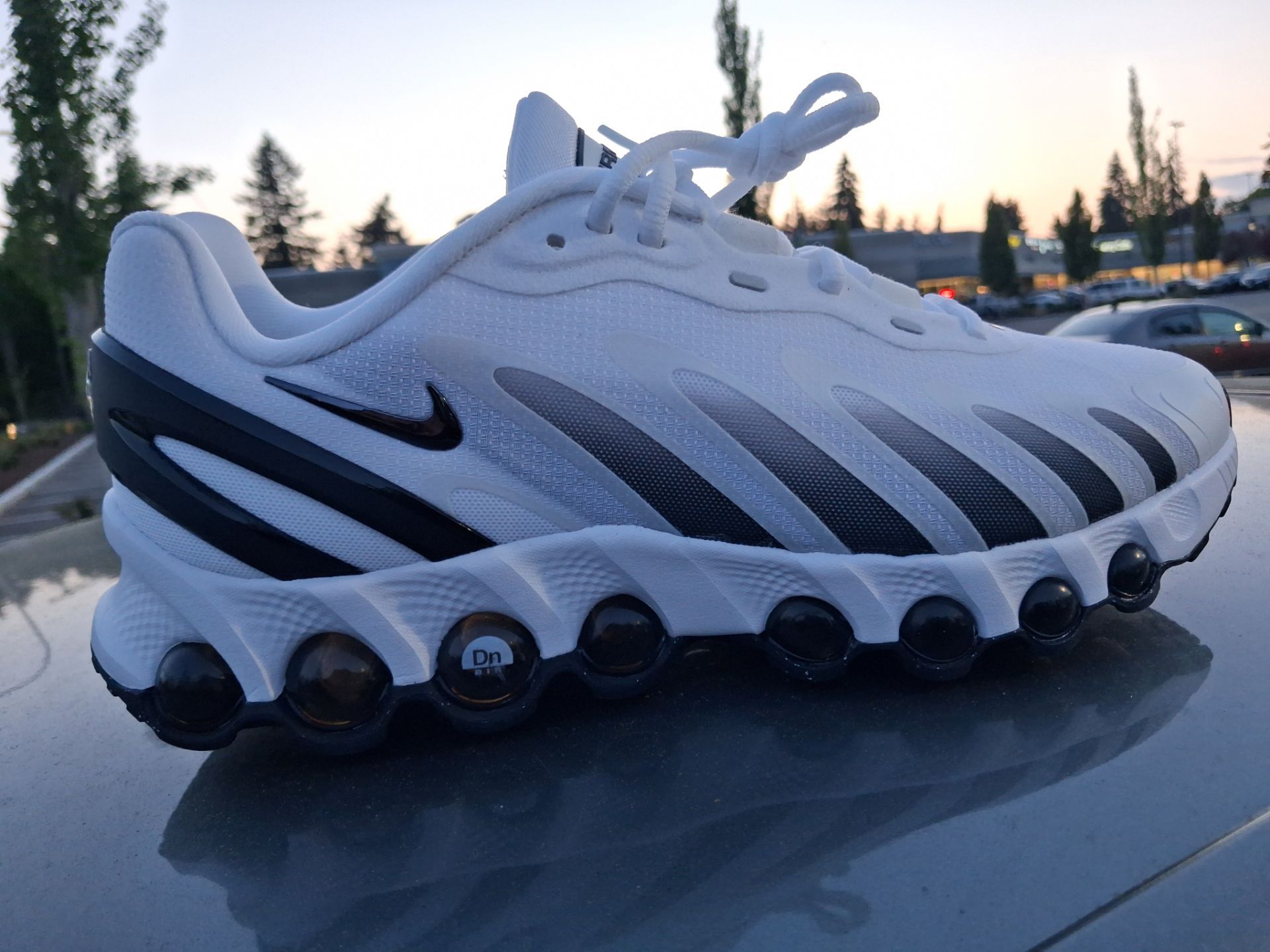 Nike dn8 panda