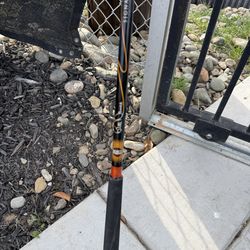 Zebco Bill Dance Rod Signature Series