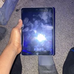 Apple Ipad