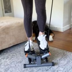 Twist Mini Stair Stepper w/ Resistant Bands 