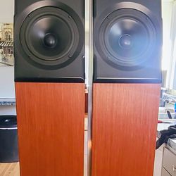 Meadowlark Audio "Kestrel" High Perf Tower Speakers