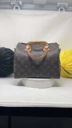 Louis Vuitton Brown Purse