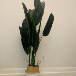 Brand New Artificial plant with basket for home  decor indoor 6ft