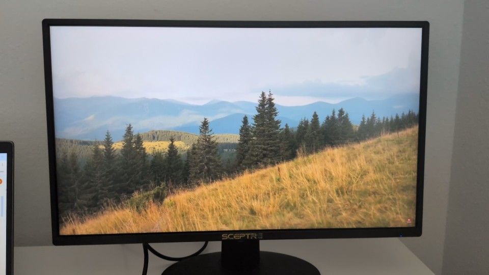 Sceptre monitor