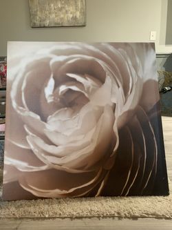 Decor - Framed Rose Flower Photograph