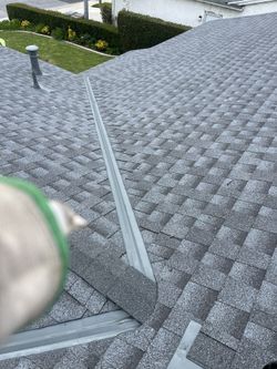 Shingles Roof