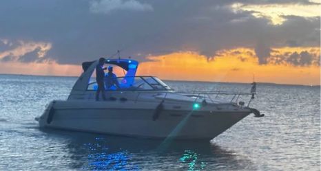 Sea Ray