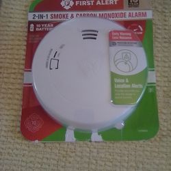 Smoke And Carbon Monoxide Alarm 