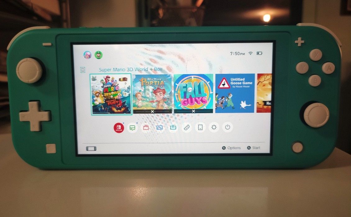 Nintendo Switch Lite & Case