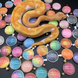 Snake Shed Pendant Necklace- Multiple Designs & Colors