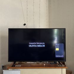 55” Vizio TV