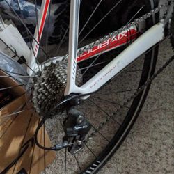 Men's Specialized Road Bike