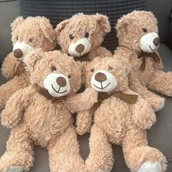 Set of 5 Plush Teddy Bears(brand new)