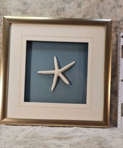 Starfish Wall Art