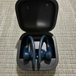 Beats by Dr. Dre Powerbeats Pro In-Ear Wireless Headphones