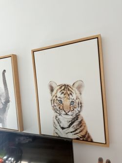 Amy Peterson Canvas Animal Paintings 18x 24 For