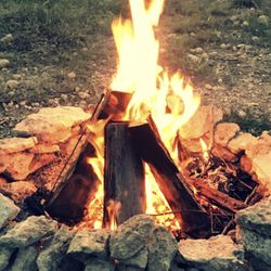 Firewood For Camping ⛺️ 🔥🔥