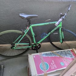 Takara 700 Kabuto Kent Bike