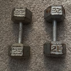 25lb Dumbbells 