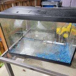 20 Gallon Fish Tank