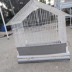 Bird Cage 