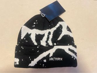 arterycx beanie black