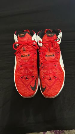 Nike LeBron 12" Heart of a Lion"