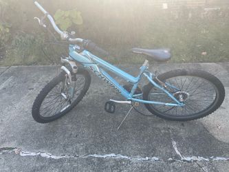 Schwinn 24” bike