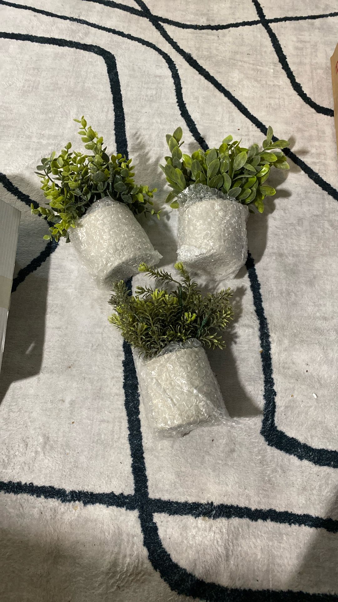 (3) Brand New Artificial Plants Succulents 