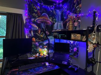 Computer/Switches/Desk/Accesories Etc Bundle