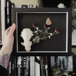 multi Decor-home-accesories(LL58)13