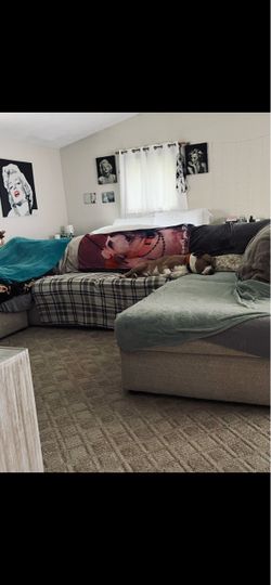 Selling both bed and sofa