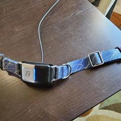 FI GPS Dog Collar Series 2