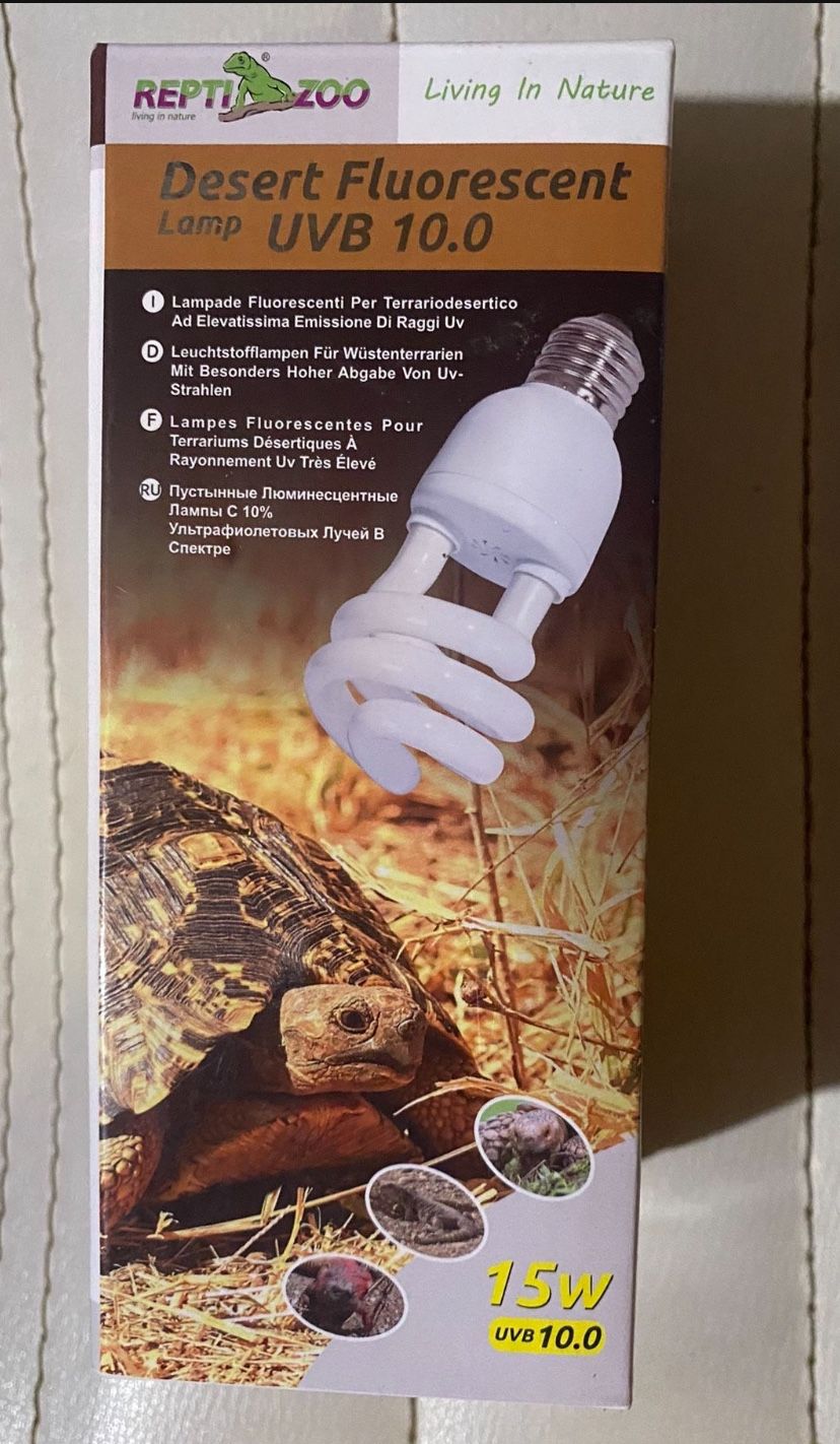 Reptile Bulb 