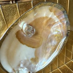 Mother Of Pearl With Pearl Tray Dish For Caviar Jewelry Soap