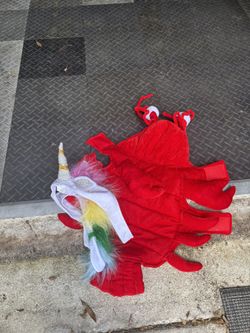 Dogs Halloween Costume 