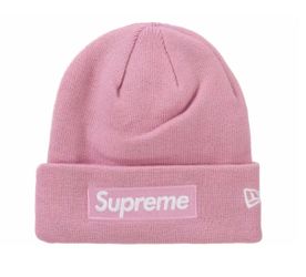 Pink Supreme Beanie $70