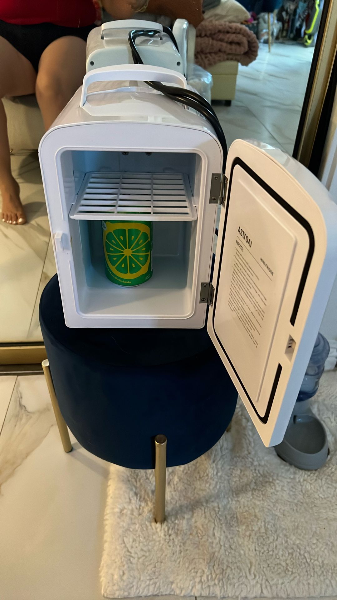 Mini Fridge