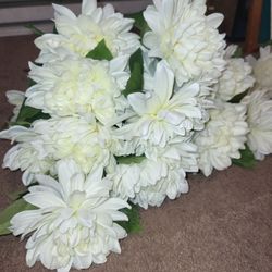 26 White Chrysanthemum Stems