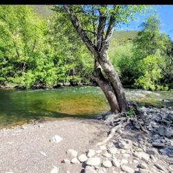 Need An RV Immediately