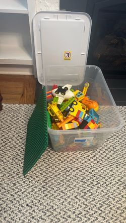LEGO DUPLO Bulk Lot with Base Plate